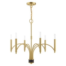 Livex Lighting 51336-12 - 6 Lt Satin Brass Chandelier