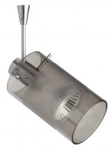 Besa Lighting SP-6524ES-SN - Besa Spotlight Scope Satin Nickel Smoke/Frost 1x50W Halogen Mr16