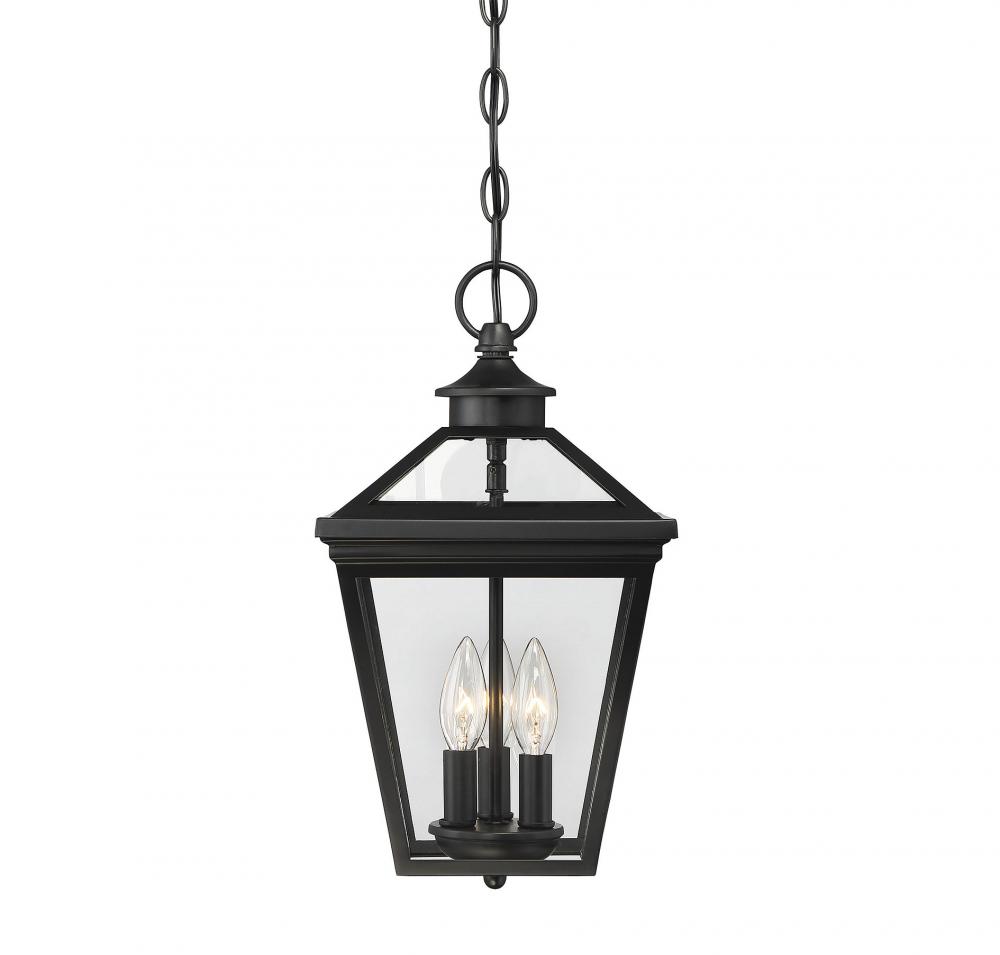 Ellijay 3-Light Outdoor Hanging Lantern in Black