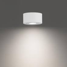 WAC US FM-W45205-40-WT - Peek Outdoor Flush Mount Light