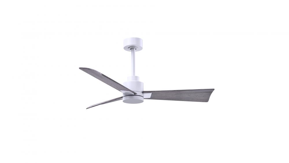 Alessandra 3-blade transitional ceiling fan in matte white finish with Barn Wood blades. Optimized