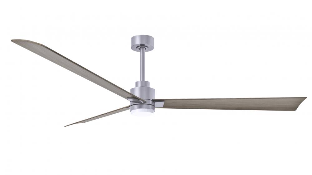 Alessandra 3-blade transitional ceiling fan in brushed nickel finish with gray ash blades. Optimiz