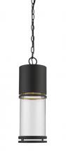 Z-Lite 553CHB-ORBZ-LED - Outdoor LED Chain Hung Light