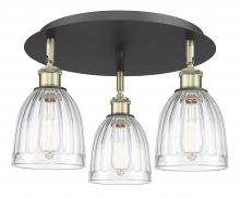 Innovations Lighting 516-3C-BAB-G442 - Brookfield - 3 Light - 18 inch - Black Antique Brass - Flush Mount