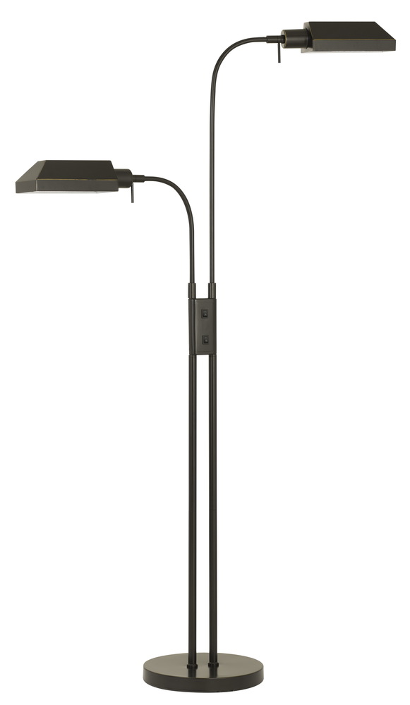 dual floor lamp