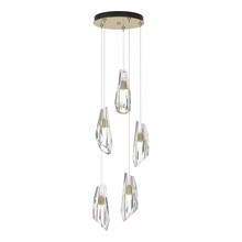 Hubbardton Forge 131121-SKT-STND-86-CR - Luma 5-Light Pendant