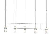 Hubbardton Forge 137725-SKT-SHRT-82-ZM0343 - Erlenmeyer 5 Light Pendant