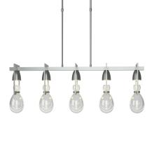 Hubbardton Forge 137810-SKT-SHRT-82-ZM0572 - Apothecary Pendant