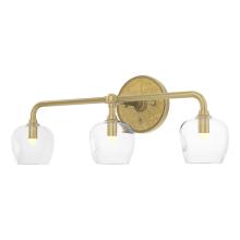 Hubbardton Forge 201342-SKT-86-86-ZM0709 - Ume 3-Light Curved Arm Bath Sconce