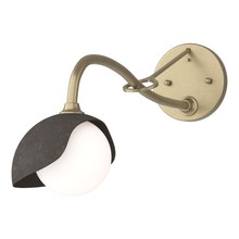 Hubbardton Forge 201376-SKT-84-07-GG0711 - Brooklyn 1-Light Single Shade Long-Arm Sconce