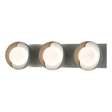 Hubbardton Forge 201378-SKT-82-84-GG0711 - Brooklyn 3-Light Straight Double Shade Bath Sconce