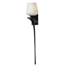 Hubbardton Forge 204710-SKT-LFT-07-GG0236 - Antasia Single Glass 1 Light Sconce