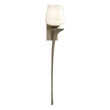 Hubbardton Forge 204710-SKT-RGT-84-GG0236 - Antasia Single Glass 1 Light Sconce