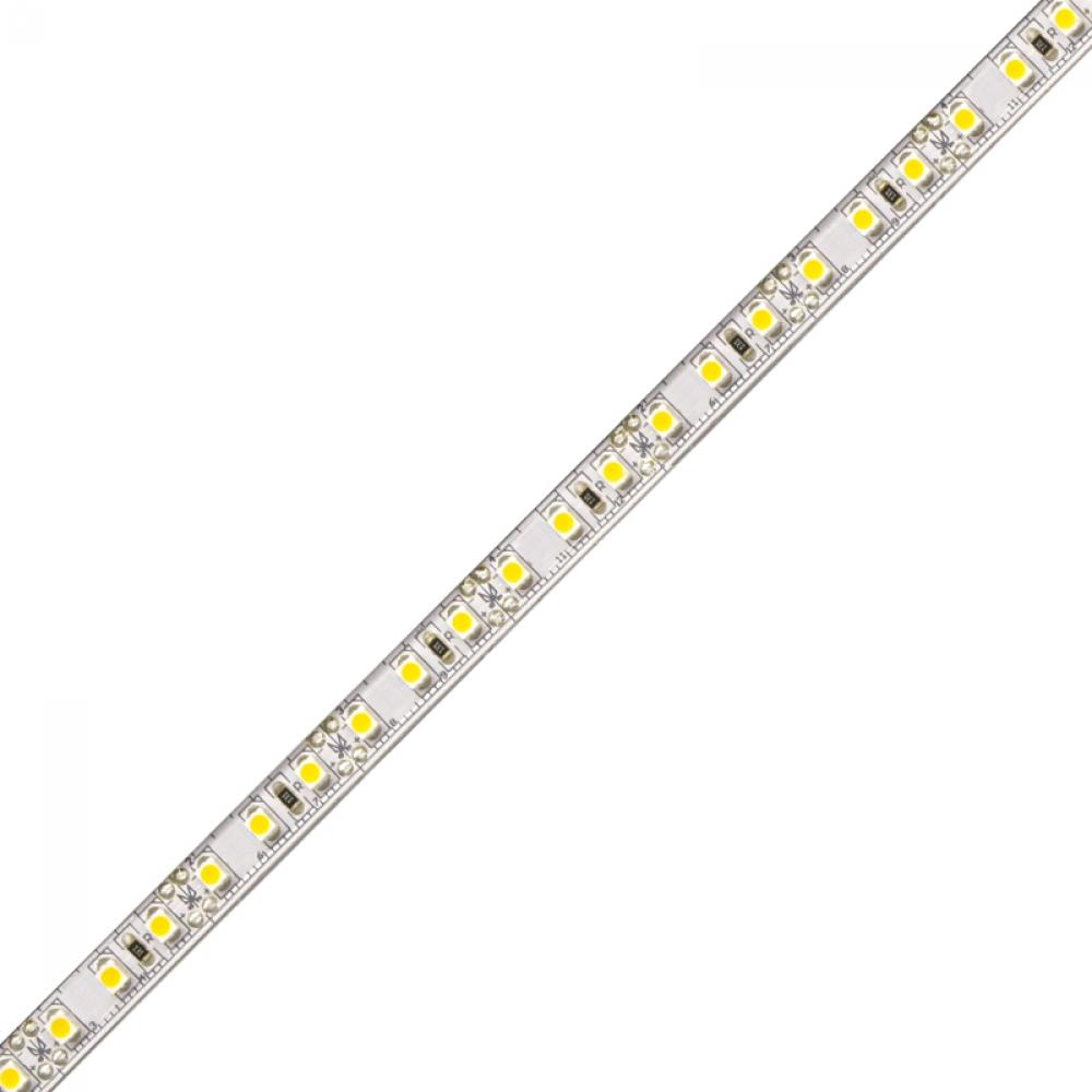 BLAZE LED Tape Light - 12V, 5000K, 80 CRI, 16.4 ft.