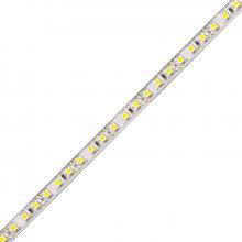 Diode Led DI-12V-BL42-80100 - BLAZE LED Tape Light - 12V, 4200K, 80 CRI, 100 ft.