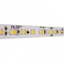 Diode Led DI-24V-VL4-WD2718-100 - STRIP/TAPE LIGHT